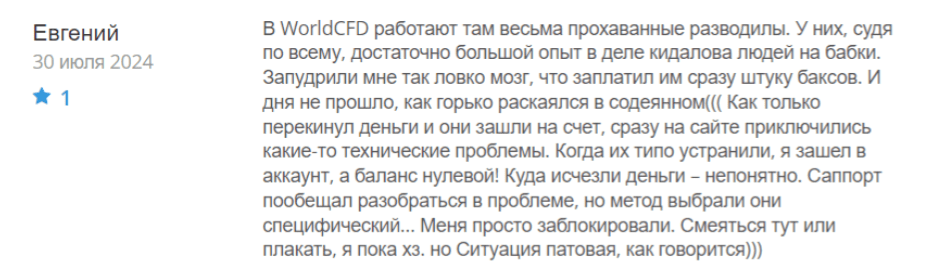 Негативный отзыв о WorldCFD 