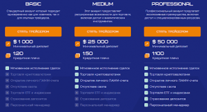 Adviselite условия