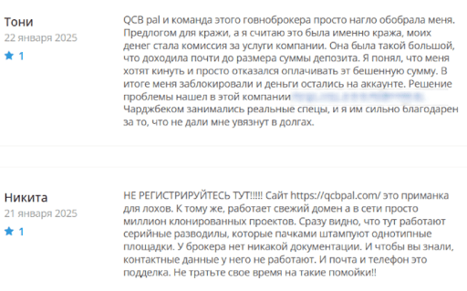 QCB Pal отзывы