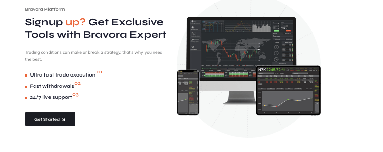 инфо о сайте Bravora Expert