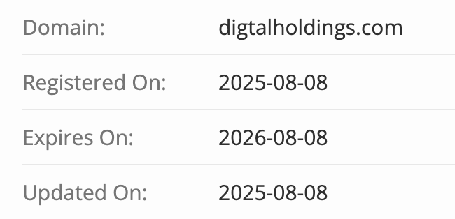домен Digtal Holdings