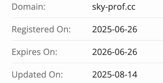 Sky Prof домен