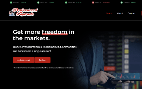обзор на Professional Toptrade