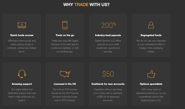 инфо о брокере Digital Dynamo LLC