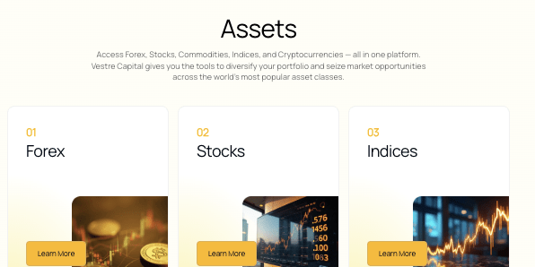 информация о Vestre Capital
