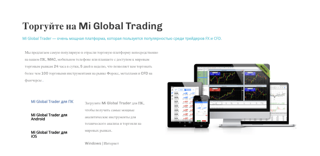 инфо о Mi Global Trade