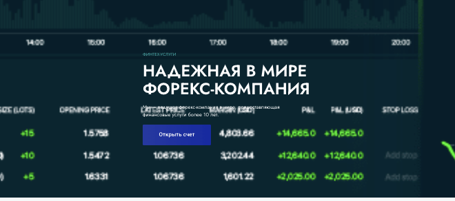 обзор VEXA INVESTMENT