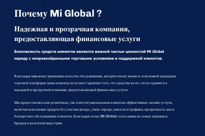 что известно о Mi Global Trade