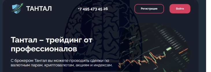 обзор Trade Platforms Investments