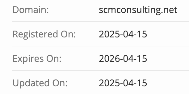 SCM Consulting домен