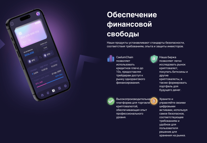 проверка CaelumChain