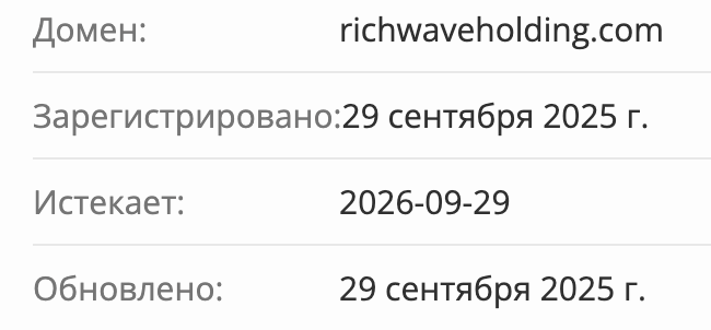Rich Wave Holding домен