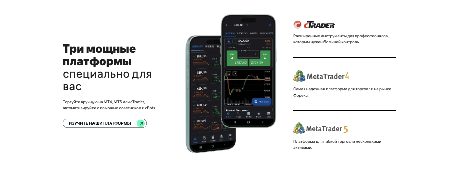 проверка TopFX