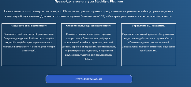 что известно о Stokity