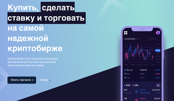 обзор CaelumChain