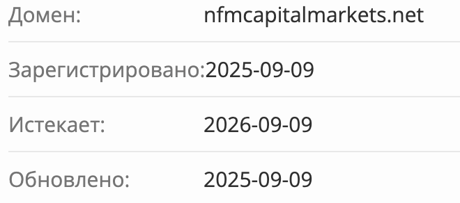 NFM Trading домен