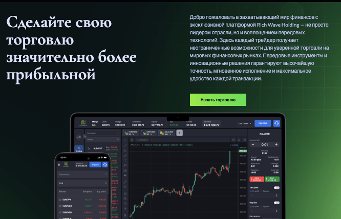 обзор Rich Wave Holding