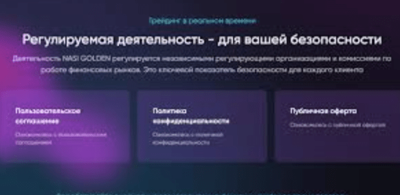 инфо о проекте NASI GOLDEN