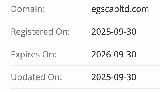 EGS Capital проверка домена