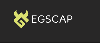 EGS Capital лого