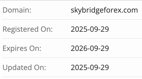 Skybridgeforex домен