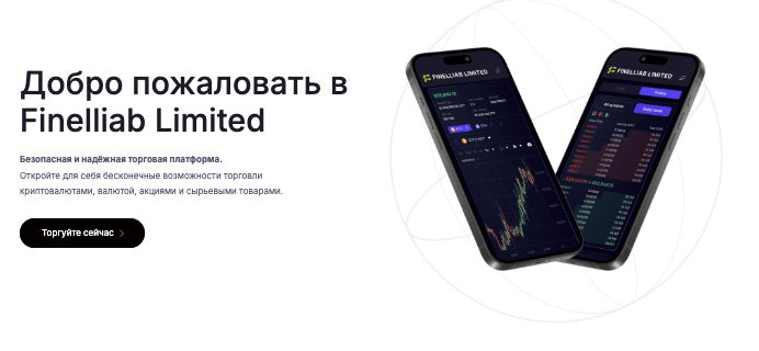 Finelliab Limited обзор