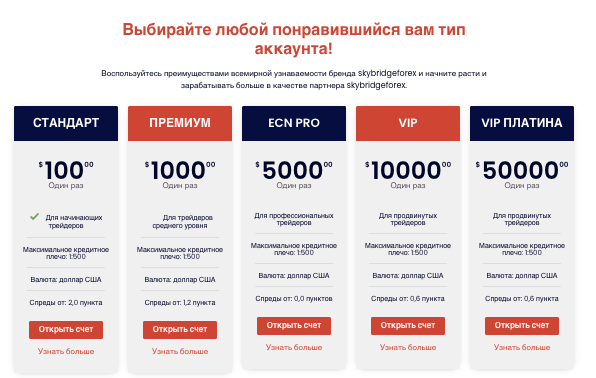 Skybridgeforex типы счетов