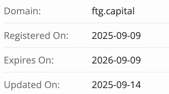 FTG CAPITAL домен